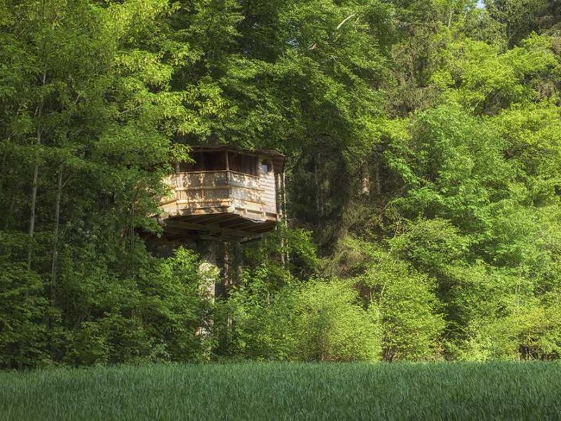 Cabane perchée dans les arbres, entourée de verdure luxuriante en Auvergne.