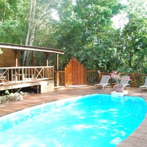 Cabane en bois avec piscine, entourée de verdure luxuriante à Outre-Mer.
