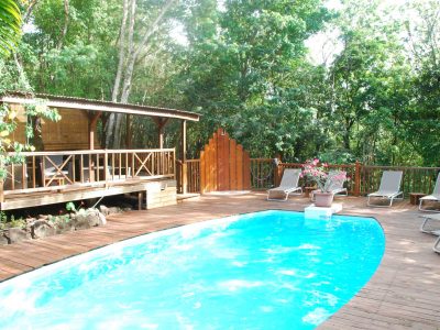 Cabane en bois avec piscine, entourée de verdure luxuriante à Outre-Mer.