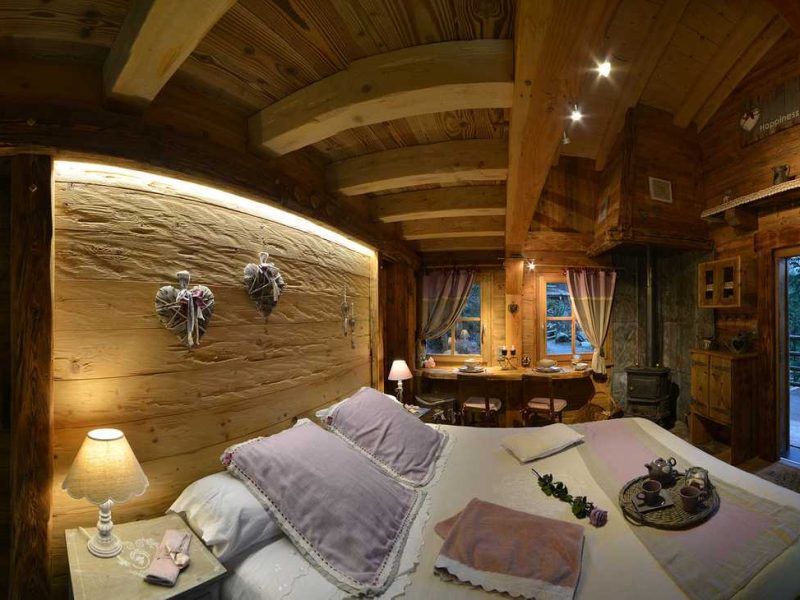 Chalet en bois chaleureux avec lit douillet et vue sur la nature.