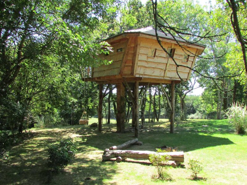 Cabane dans les arbres, perchée au milieu dune verdure luxuriante.