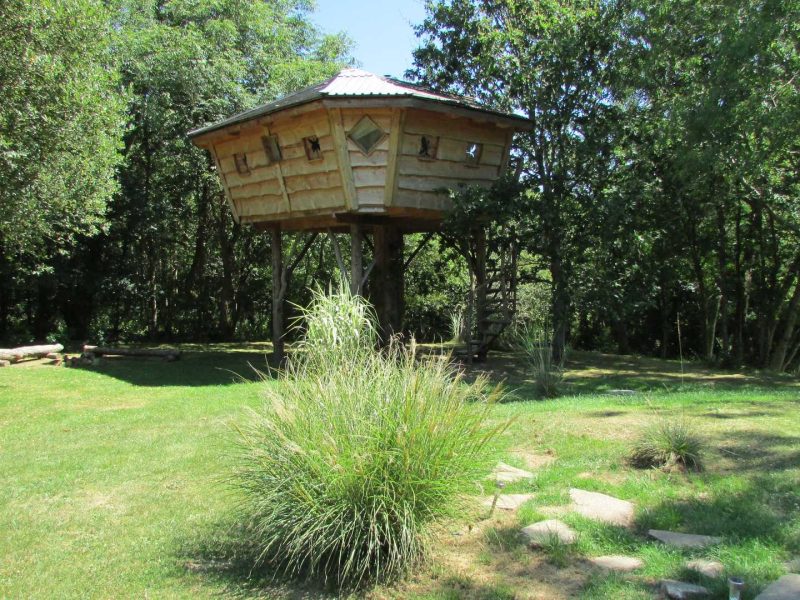 Cabane perchée dans les arbres, entourée de verdure luxuriante et dun jardin naturel.