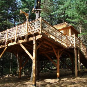 Cabane perchée en bois dans les arbres, entourée de verdure luxuriante.