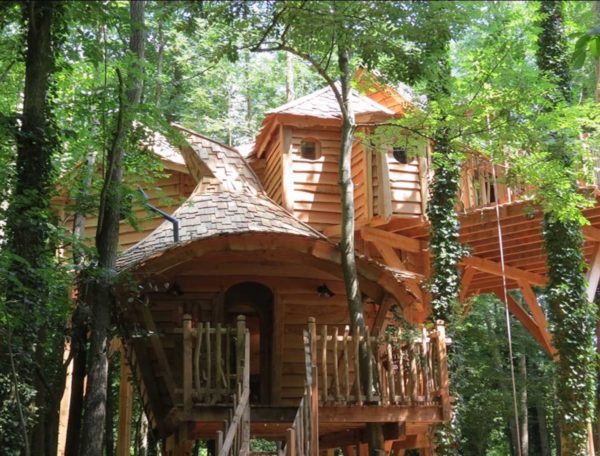 Cabane dans les arbres en bois, entourée de verdure luxuriante et de lumière naturelle.