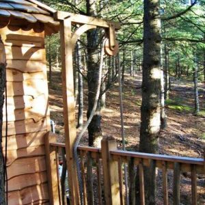 Cabane perchée en bois dans les arbres, entourée de pins majestueux.