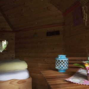 Cabane en bois cosy en Auvergne, décorée avec une lampe turquoise et des fleurs.
