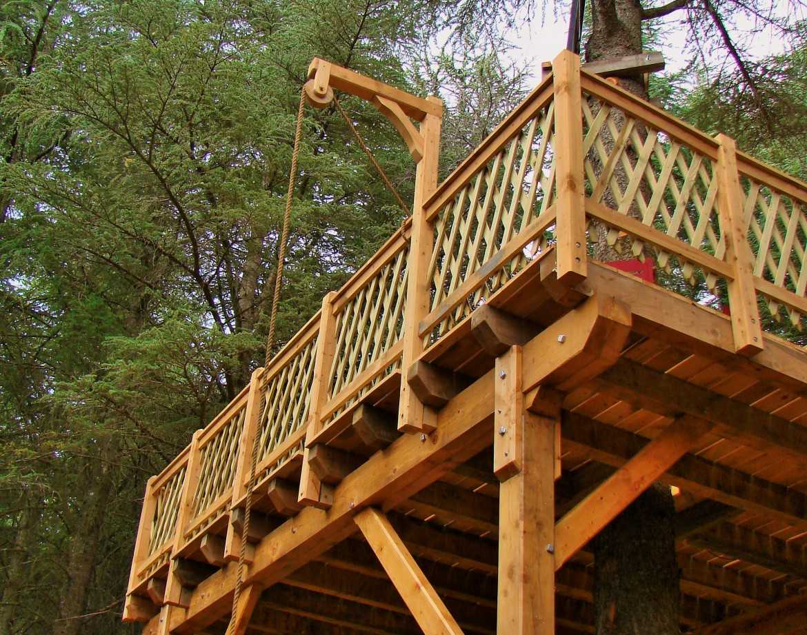 Cabane perchée en bois dans les arbres, entourée de verdure luxuriante.