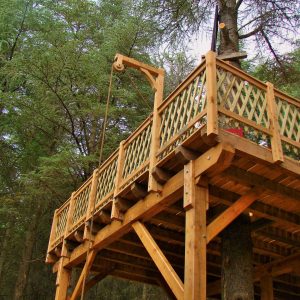 Cabane perchée en bois dans les arbres, entourée de verdure luxuriante.