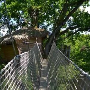 Cabane dans les arbres en Pays de la Loire, accès par un pont suspendu verdoyant.
