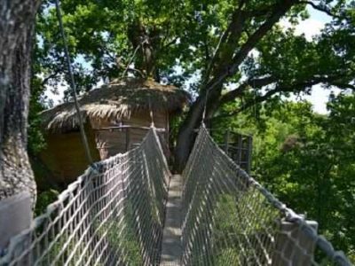 Cabane dans les arbres en Pays de la Loire, accès par un pont suspendu verdoyant.