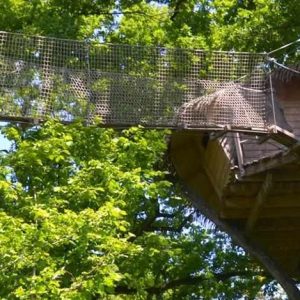 Cabane dans les arbres en Pays de la Loire, perchée au milieu dune forêt verdoyante.