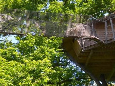 Cabane dans les arbres en Pays de la Loire, perchée au milieu dune forêt verdoyante.