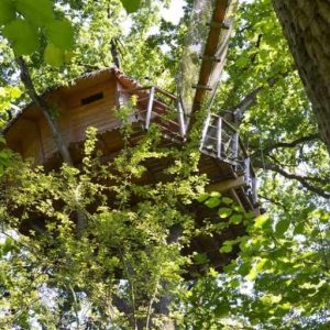 Cabane perchée dans les arbres, entourée de feuillage verdoyant à Pays de la Loire.