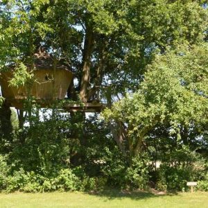 Cabane perchée dans les arbres, entourée de verdure luxuriante à Pays de la Loire.