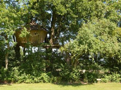 Cabane perchée dans les arbres, entourée de verdure luxuriante à Pays de la Loire.