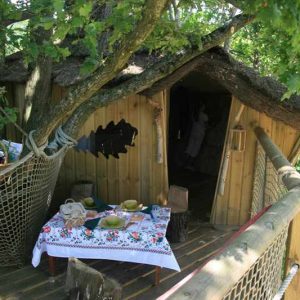 Cabane dans les arbres en Pays de la Loire, avec une table décorée sous les feuillages.