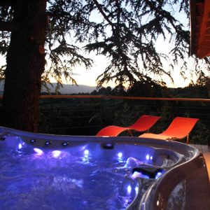 Hébergement insolite en Auvergne-Rhône-Alpes avec jacuzzi et vue sur la nature.