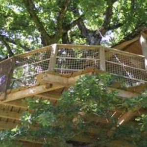 Cabane perchée dans un arbre, offrant une vue imprenable sur la nature environnante.