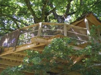 Cabane perchée dans un arbre, offrant une vue imprenable sur la nature environnante.