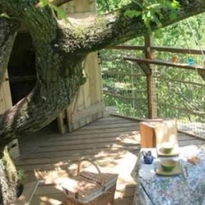 Cabane dans les arbres en Pays de la Loire, avec une table de pique-nique sous un grand chêne.