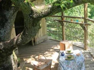 Cabane dans les arbres en Pays de la Loire, avec une table de pique-nique sous un grand chêne.
