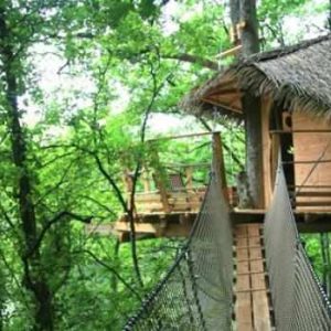Cabane dans les arbres en Pays de la Loire, perchée au cœur dune forêt verdoyante.