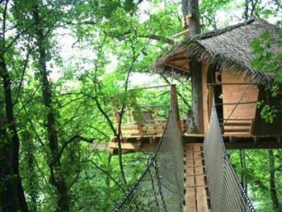 Cabane dans les arbres en Pays de la Loire, perchée au cœur dune forêt verdoyante.