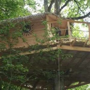Cabane perchée dans les arbres, avec un balcon et un toit en chaume.
