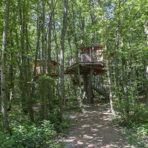 Cabane perchée dans les arbres, entourée dune forêt verdoyante en Auvergne-Rhône-Alpes.