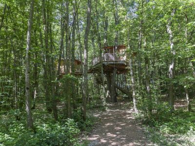 Cabane perchée dans les arbres, entourée dune forêt verdoyante en Auvergne-Rhône-Alpes.