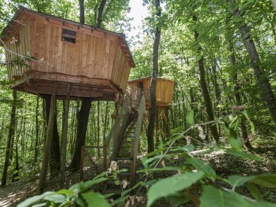 Cabane perchée en bois dans les arbres, entourée de verdure luxuriante.