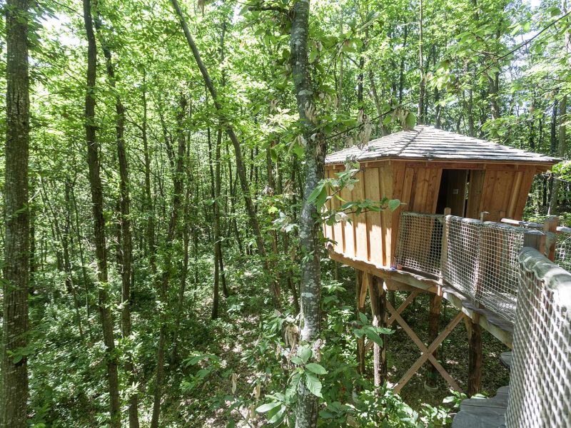 Cabane perchée en bois, entourée dune forêt verdoyante en Auvergne-Rhône-Alpes.