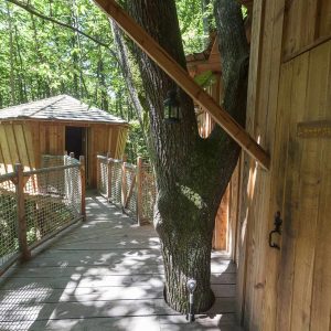 Cabane perchée en bois, reliée par un chemin suspendu dans les arbres verdoyants.