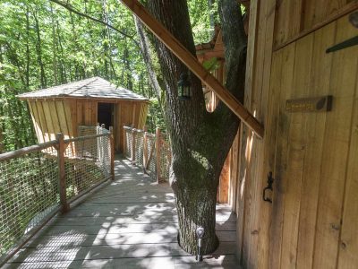 Cabane perchée en bois, reliée par un chemin suspendu dans les arbres verdoyants.