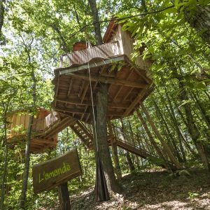 Cabane perchée dans les arbres, entourée de verdure luxuriante en Auvergne-Rhône-Alpes.