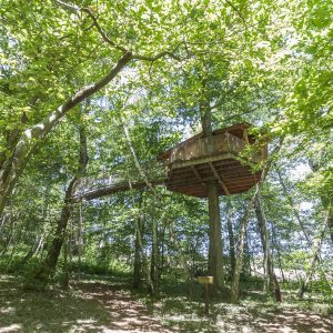 Cabane perchée dans les arbres, entourée de verdure luxuriante en Auvergne-Rhône-Alpes.