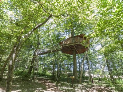 Cabane perchée dans les arbres, entourée de verdure luxuriante en Auvergne-Rhône-Alpes.