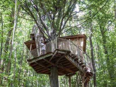 Cabane perchée dans un arbre, entourée de verdure luxuriante en Auvergne-Rhône-Alpes.