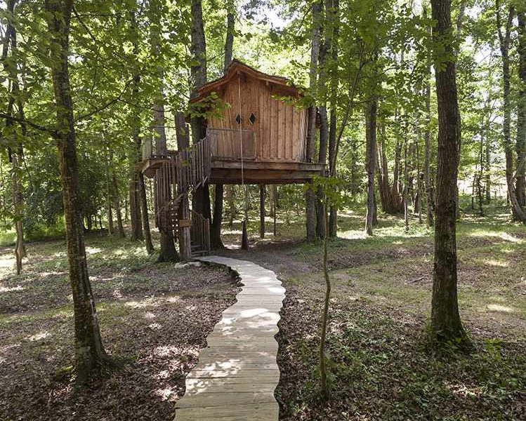 Cabane perchée dans les arbres, accessible par un chemin en bois au cœur de la forêt.