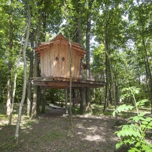 Cabane perchée en bois, entourée darbres verdoyants en Auvergne-Rhône-Alpes.