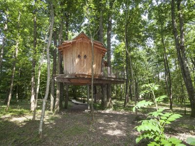 Cabane perchée en bois, entourée darbres verdoyants en Auvergne-Rhône-Alpes.