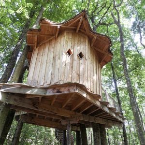 Cabane perchée en bois dans les arbres, entourée de verdure luxuriante.