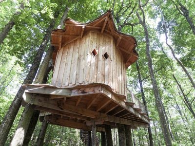 Cabane perchée en bois dans les arbres, entourée de verdure luxuriante.