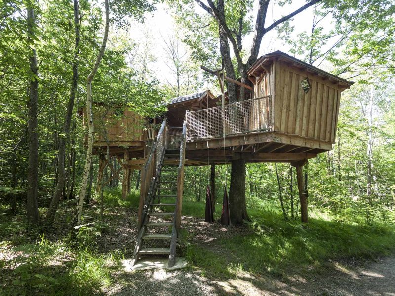 Cabane perchée dans les arbres, entourée de verdure, offrant une vue apaisante.