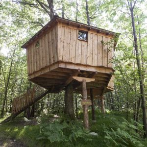 Cabane dans les arbres en Auvergne-Rhône-Alpes, perchée au milieu de la verdure.