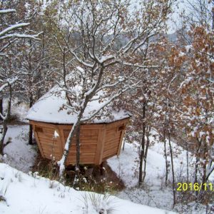 Cabane en bois perchée, entourée de neige et darbres aux feuilles dorées.