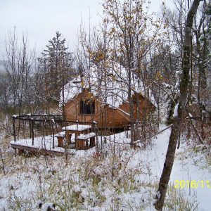 Cabane en bois dans la neige, entourée darbres, offrant un cadre paisible.