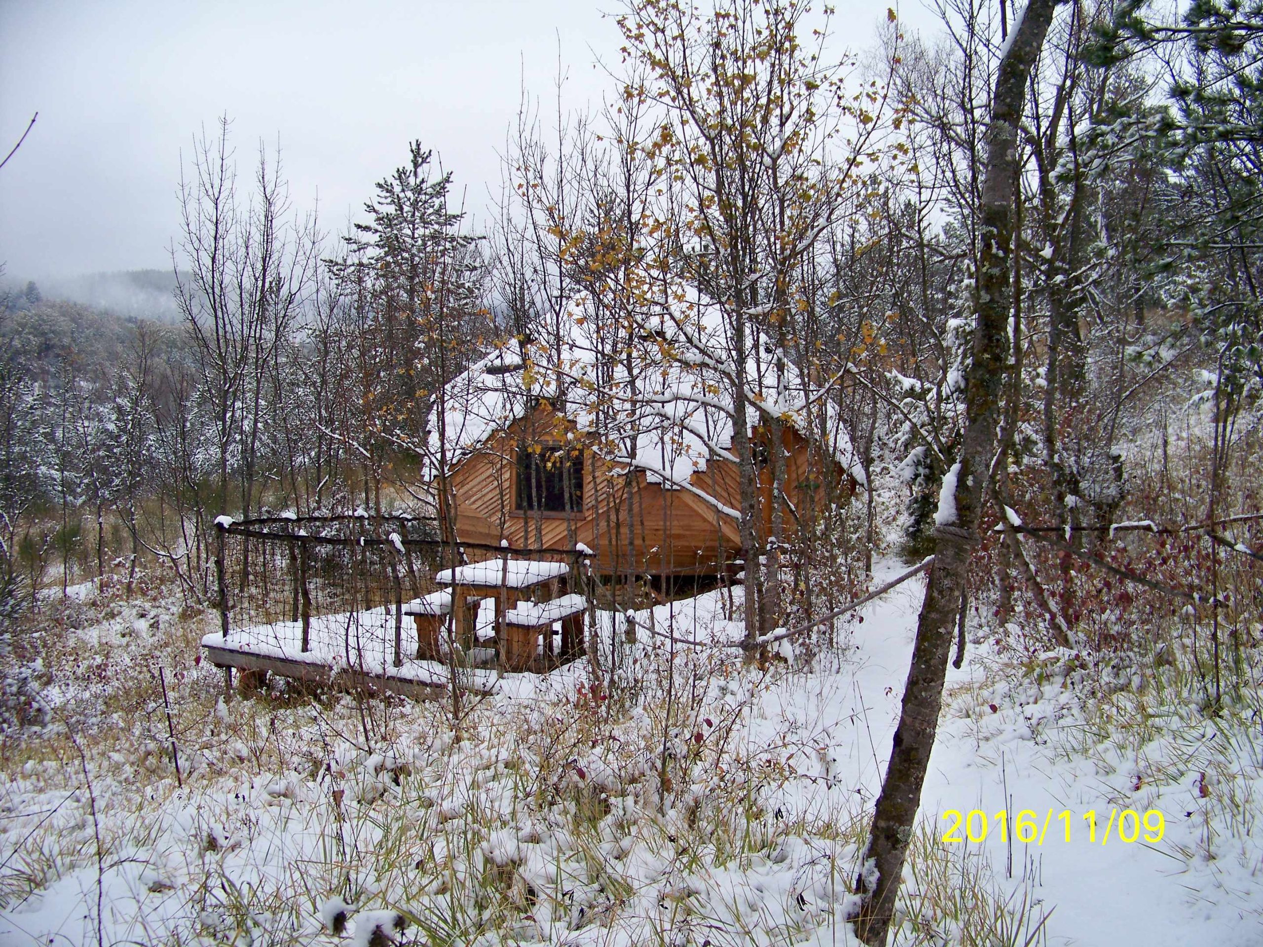 100_3155 Cabane en bois dans la neige, entourée darbres, offrant un cadre paisible.