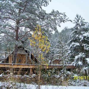 Cabane perchée en bois, entourée de neige et de sapins en Auvergne-Rhône-Alpes.