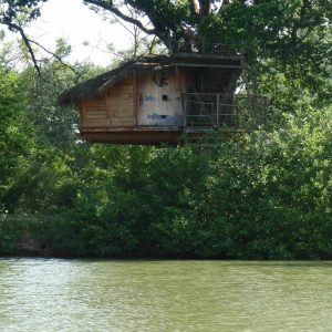 Cabane perchée dans un arbre, au bord dun ruisseau, entourée de verdure luxuriante.